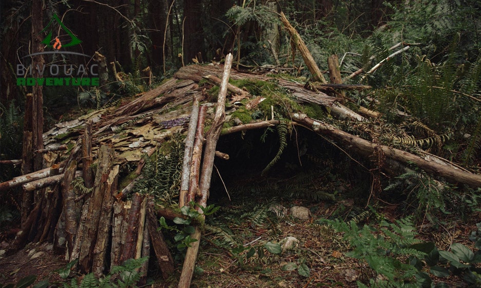 How to Build a Wilderness Survival Shelter